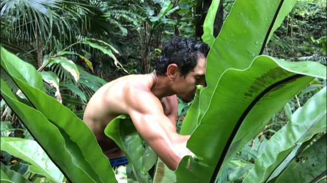 The Magdalene Voices, Ke'oni Hanalei, Fern Medicine, Mariaestela, Spiritual Business Mentor, Catalyst & Facilitator