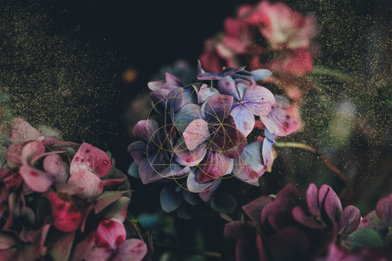 It's all about love - for you and your business, Mariaestela, Facilitator, Spiritual, Business, Love