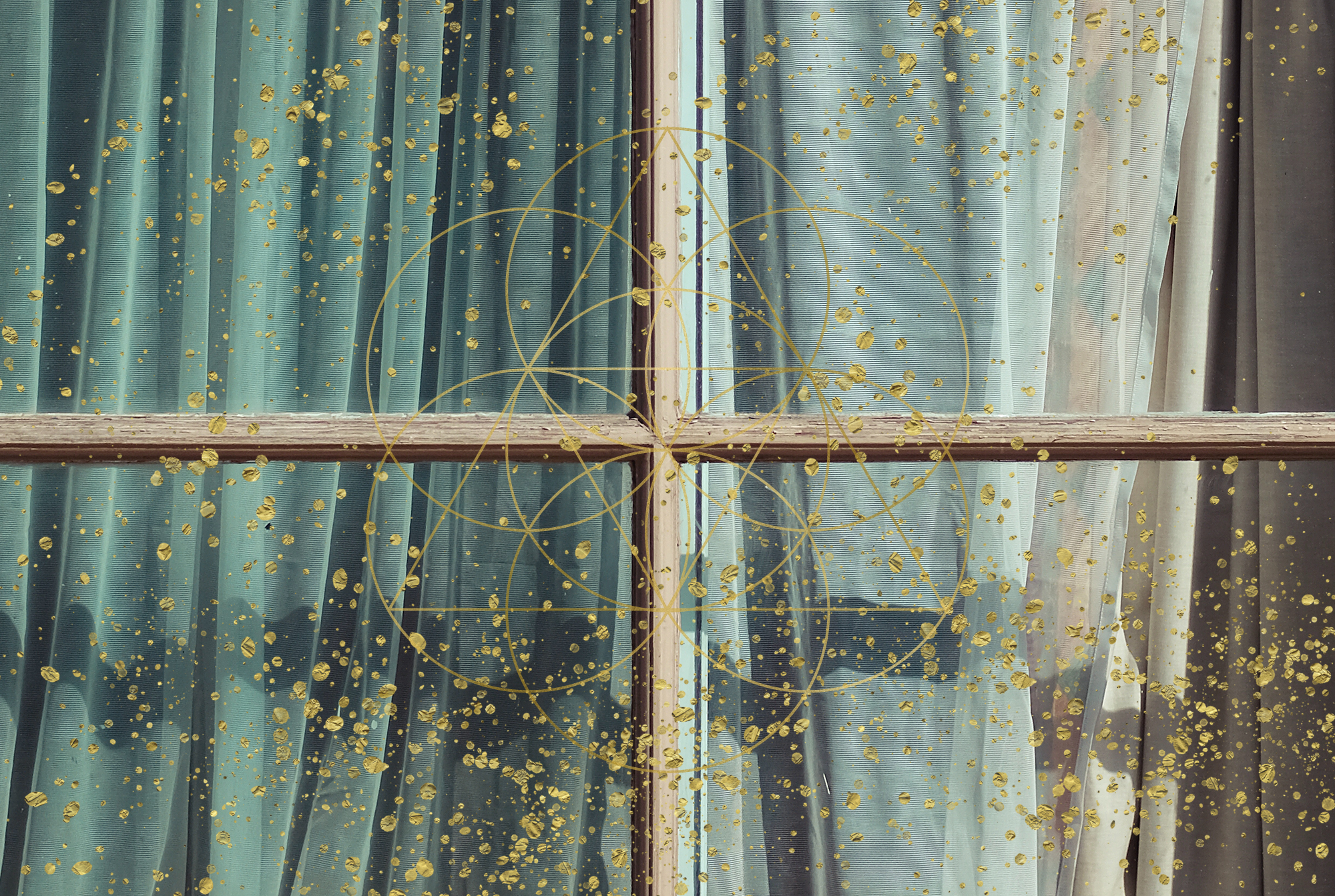 Ego Separation You don't have to do anything, Mariaestela, Facilitator, Coach