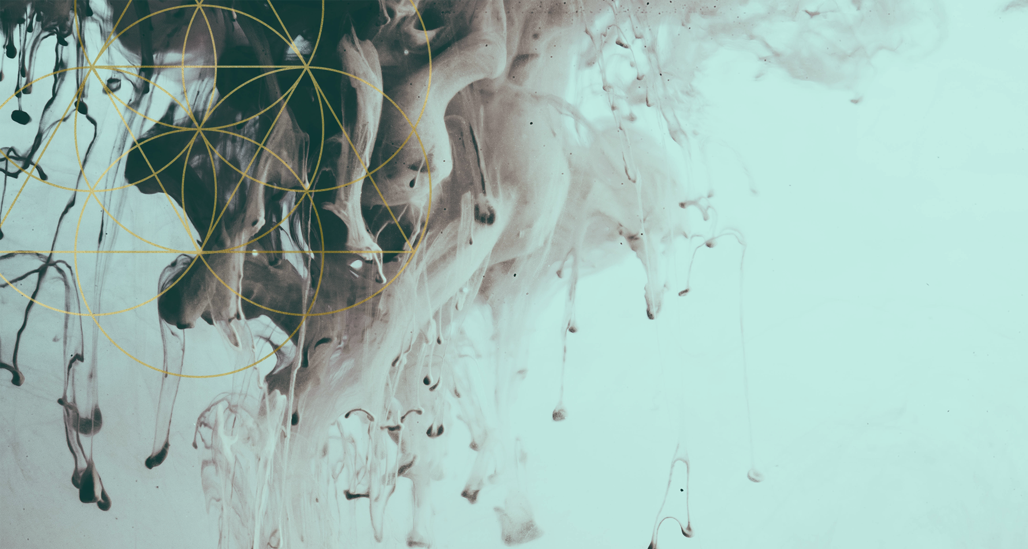 how to dissolve the fear of competition, Private Business Mentoring, Mariaestela, Spiritual Business Mentor, Mariaestela, Catalyst, Facilitator