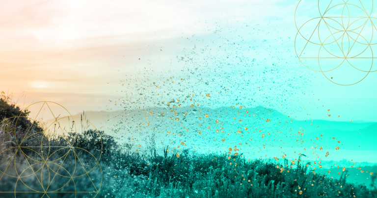 Summer Solstice Review, Mariaestela, Spiritual Business Mentor, Catalyst & Facilitator