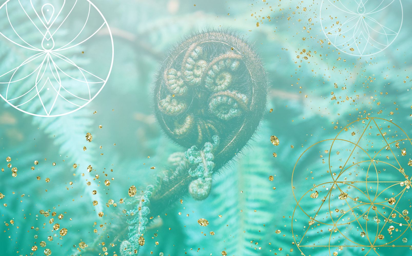 Visibility and The Witch Wound, Spiritual Business, Spiritual Business Coach, Mariaestela